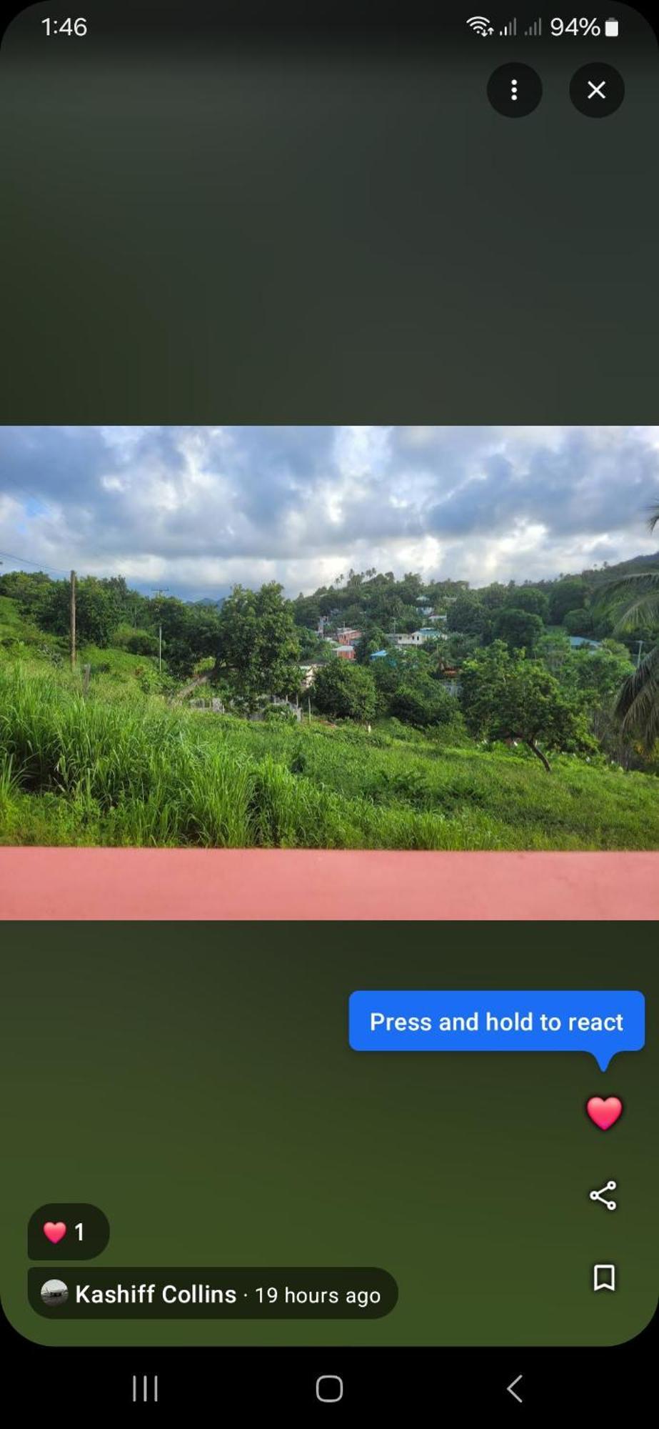 Bed and Breakfast Natrue'S Haven Marigot Exteriér fotografie